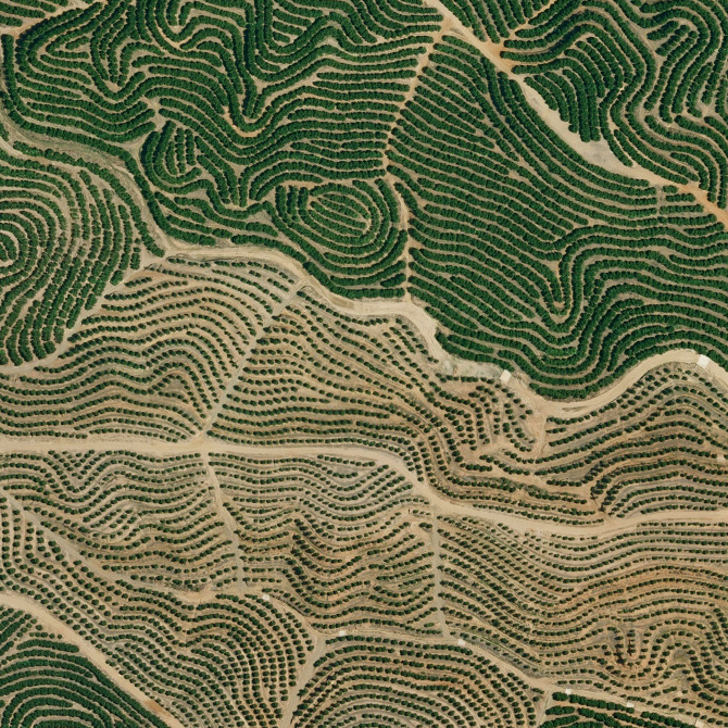 Earth Patterns Lauren Manning Design